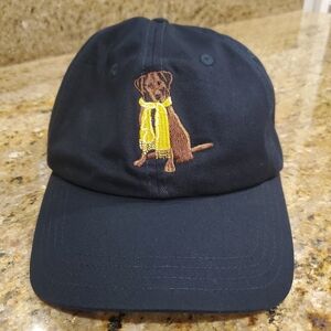 Golden Scarf Dog Cap